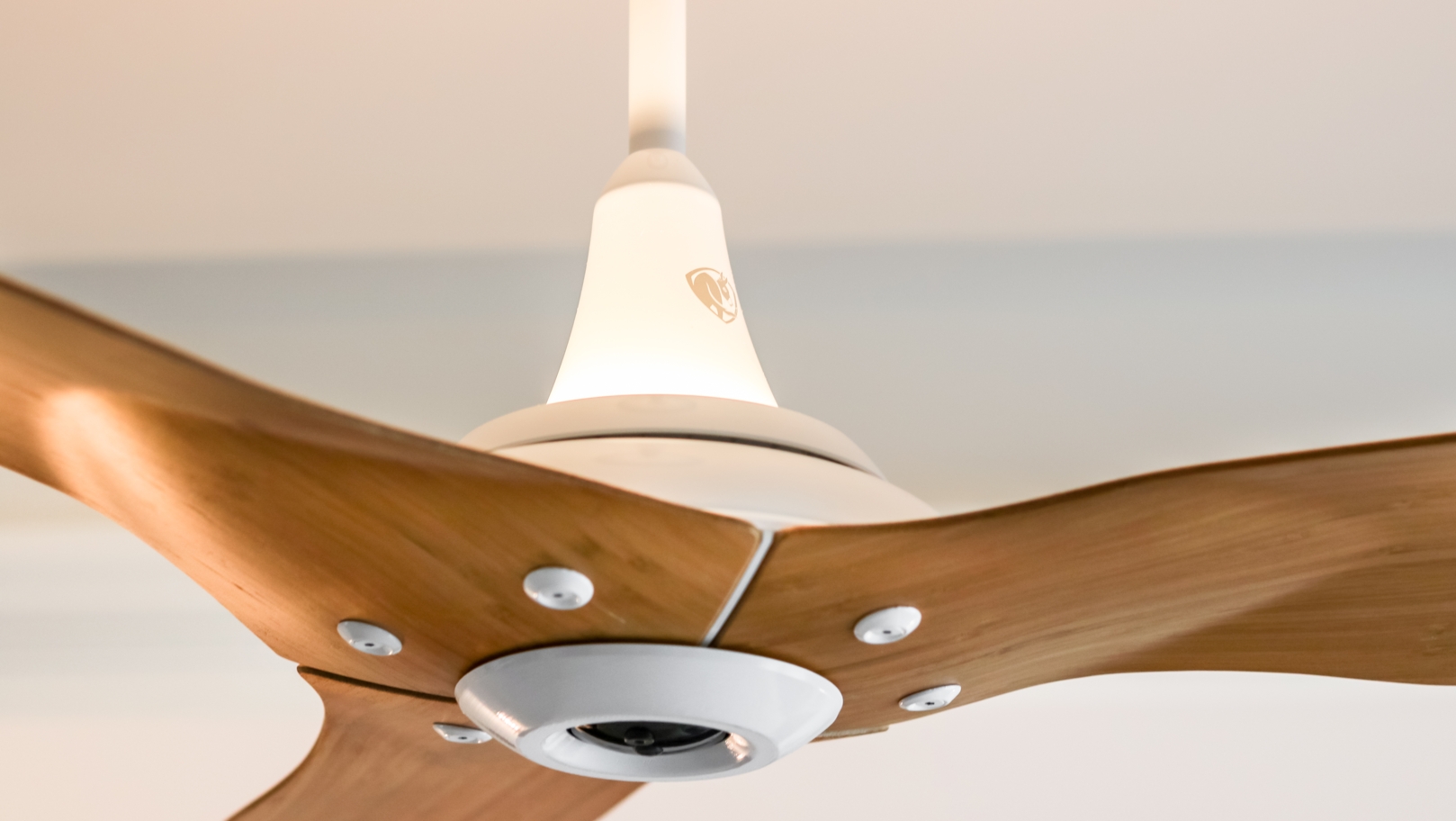 optional-fan