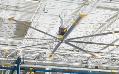 Ceiling Fans for a Warehouse