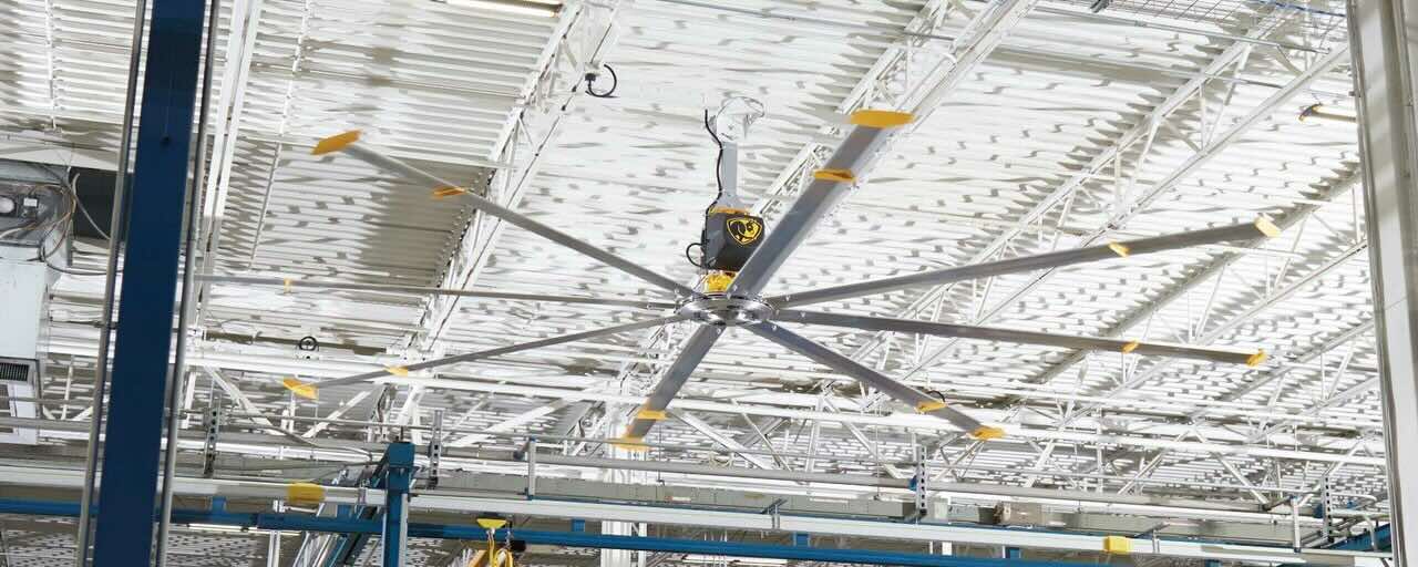 Looking at the ceiling inside of a modern warehouse facility with metal ceiling beams and a large ceiling fan by Big Ass Fans expertly positioned for optimal airflow.