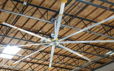 What’s the Big Deal with Large Warehouse Fans?